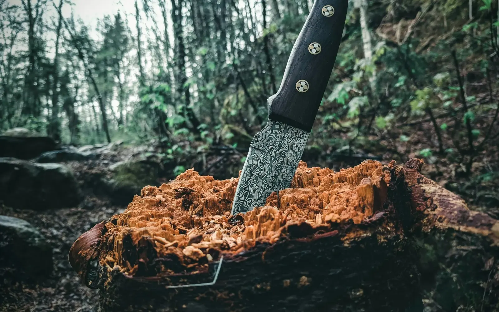 Cuchillo de campamento clavado en un tronco en el bosque
