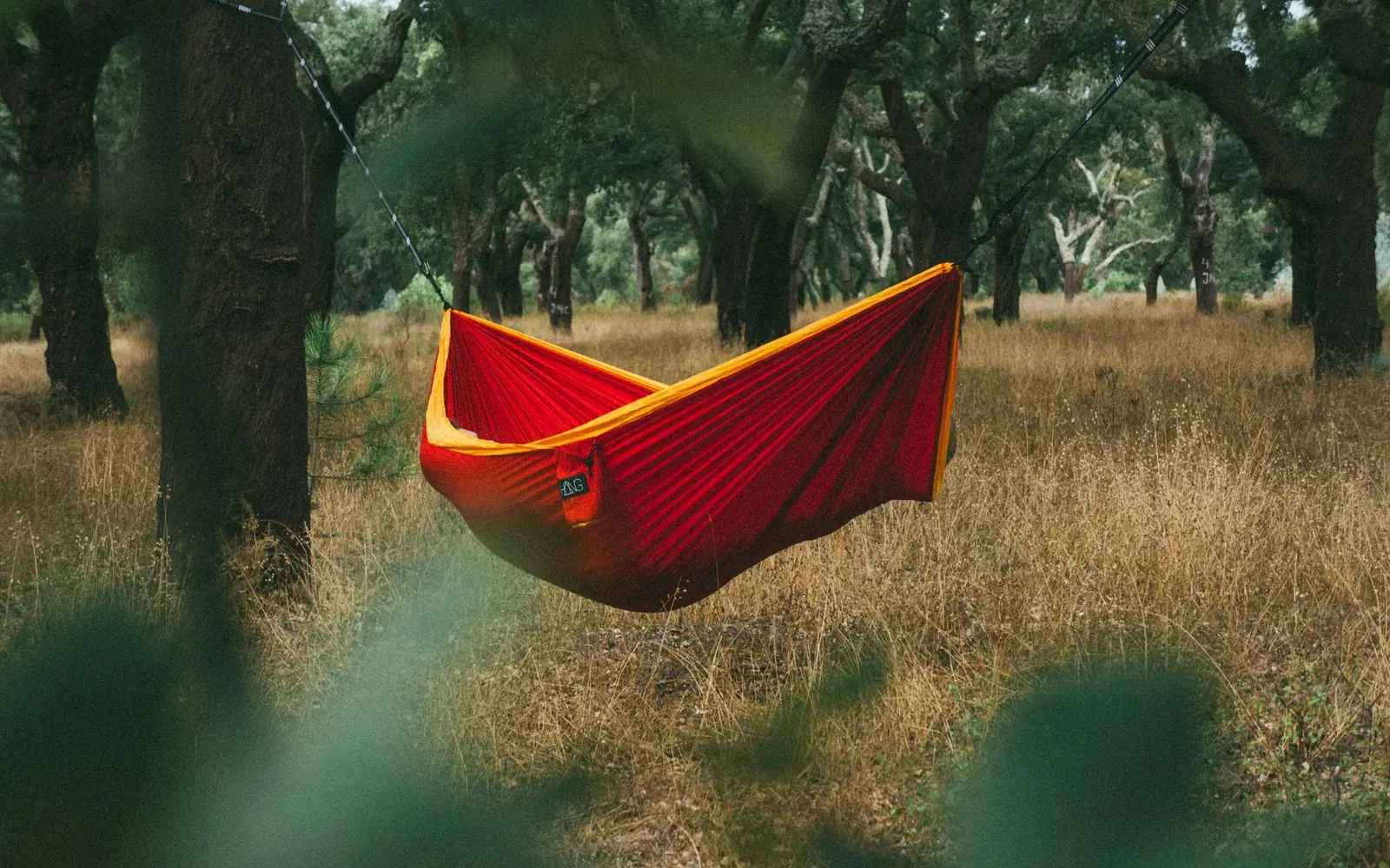 Hamaca paraguaya roja colgada entre dos árboles en el bosque
