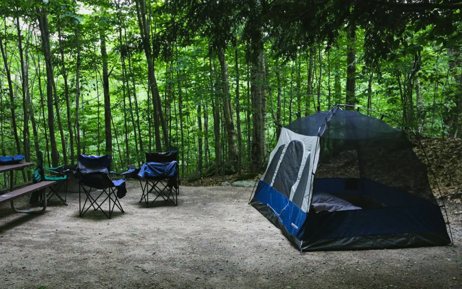 Sillas plegables, mesa y carpa armadas en un camping en el bosque